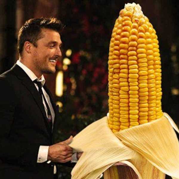 The Bachelor Finale Recap: As Told By Someone Who Didn't Watch It