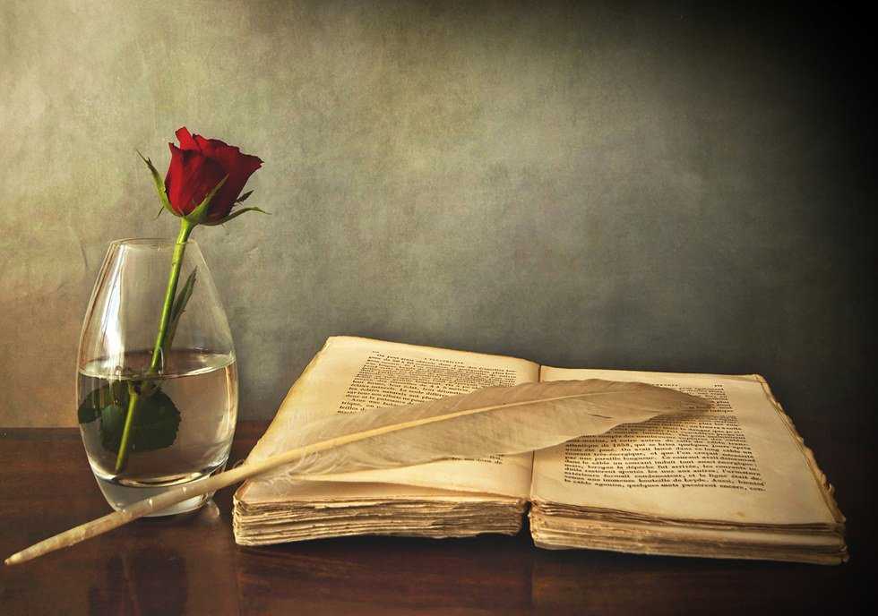 4 Questions That English Majors Always Hear