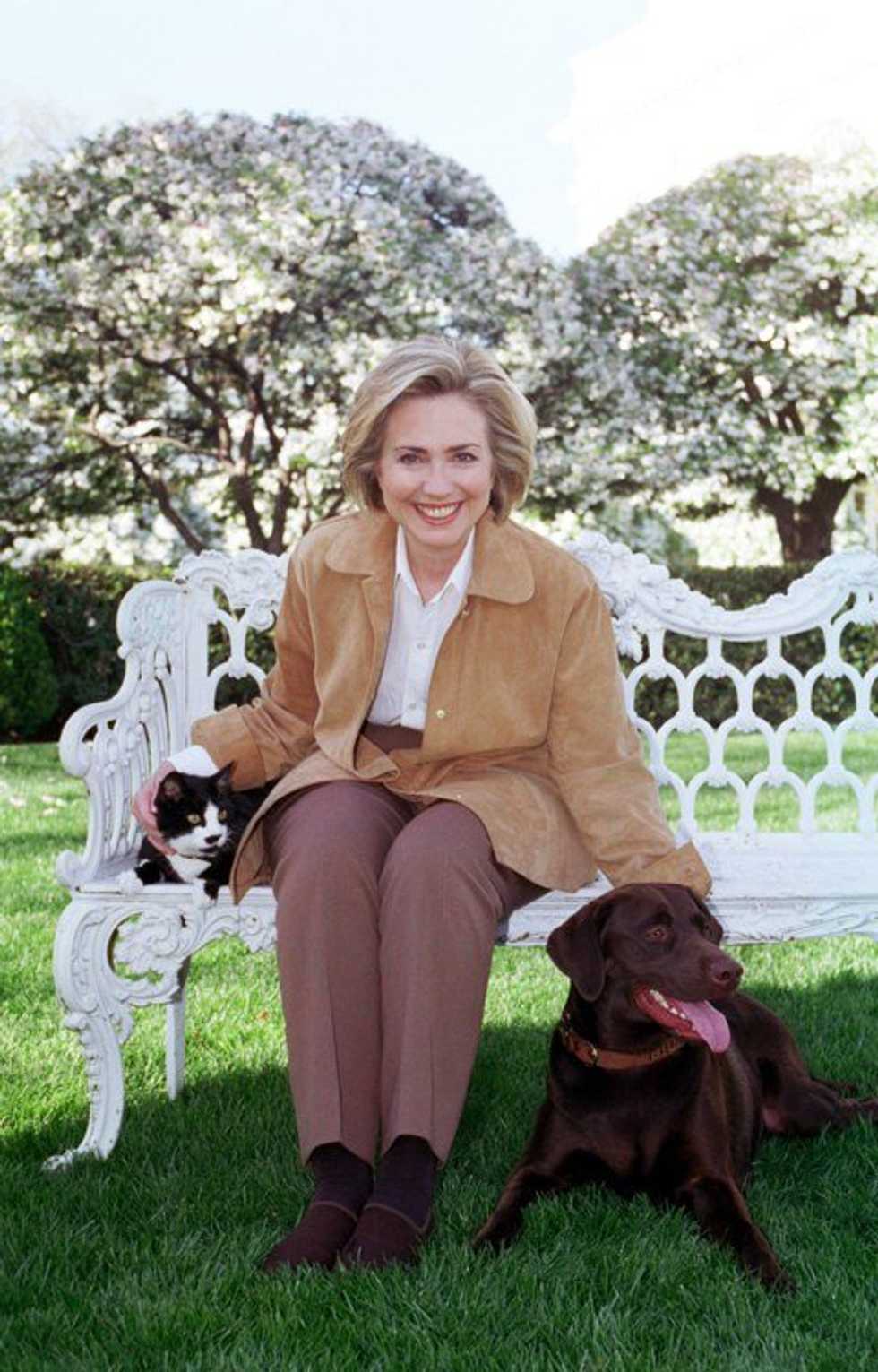 Clinton Or Sanders?