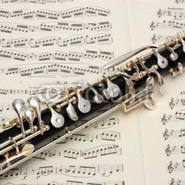 Struggles Of Being An Oboe Player