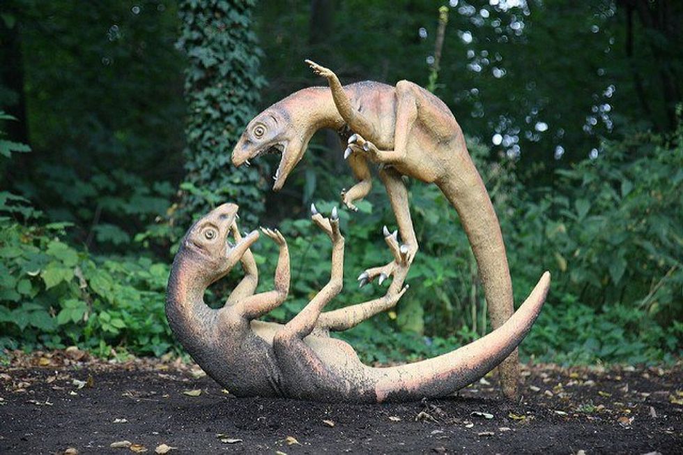 10 Signs You Are A Savage