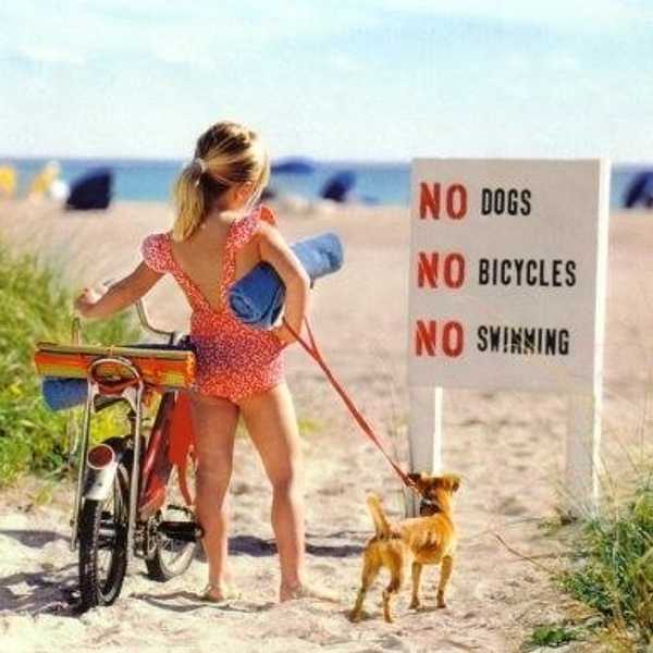The Art Of Breaking Rules