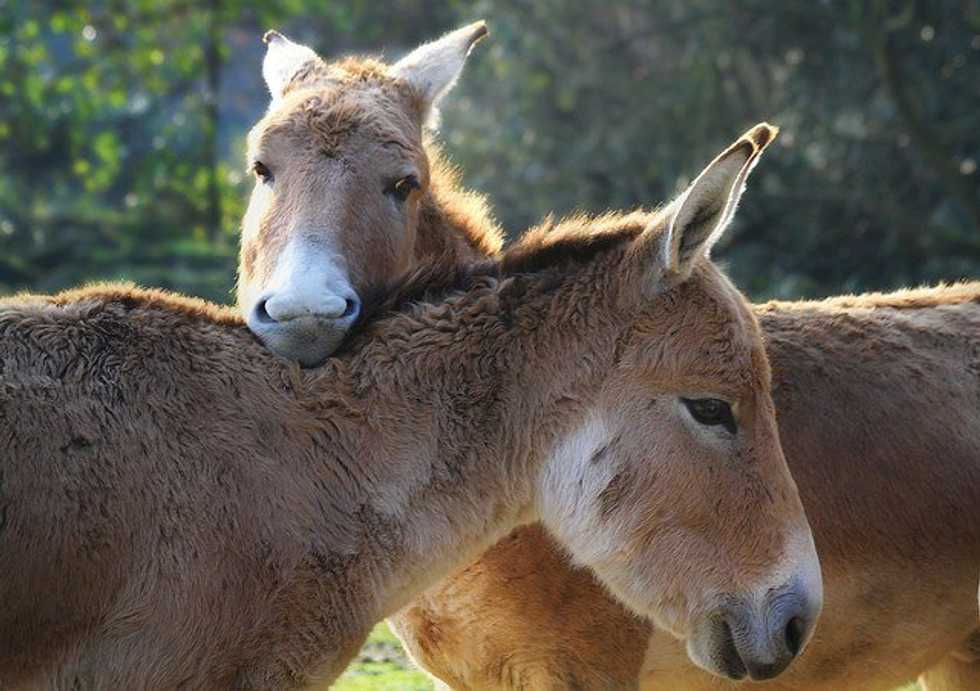 7 Things Only Best Friends Will Understand