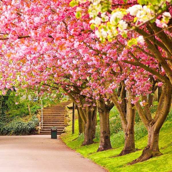 15 Reasons To Be Excited Spring Is Almost Here