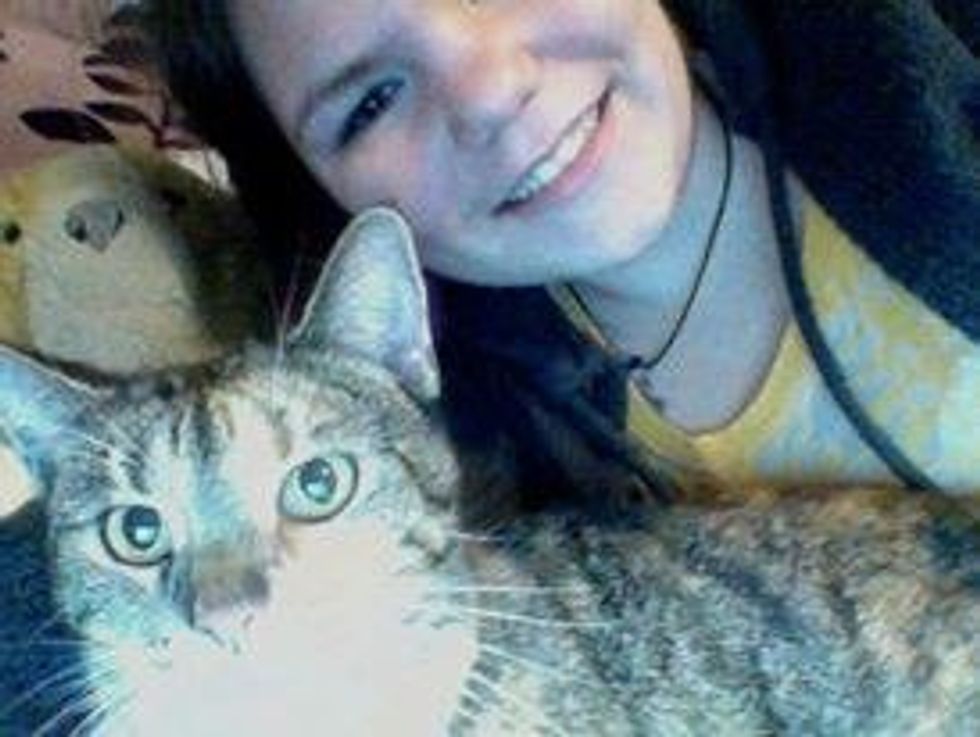 14 Signs You're Obsessed With Cats