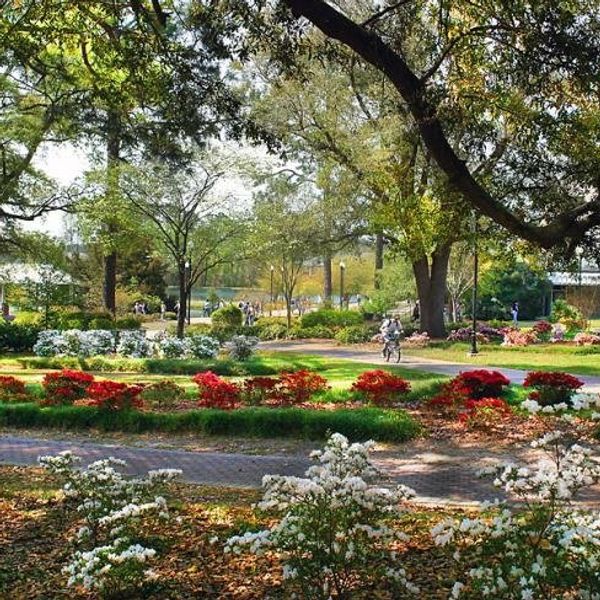 A Northerners Guide To The South