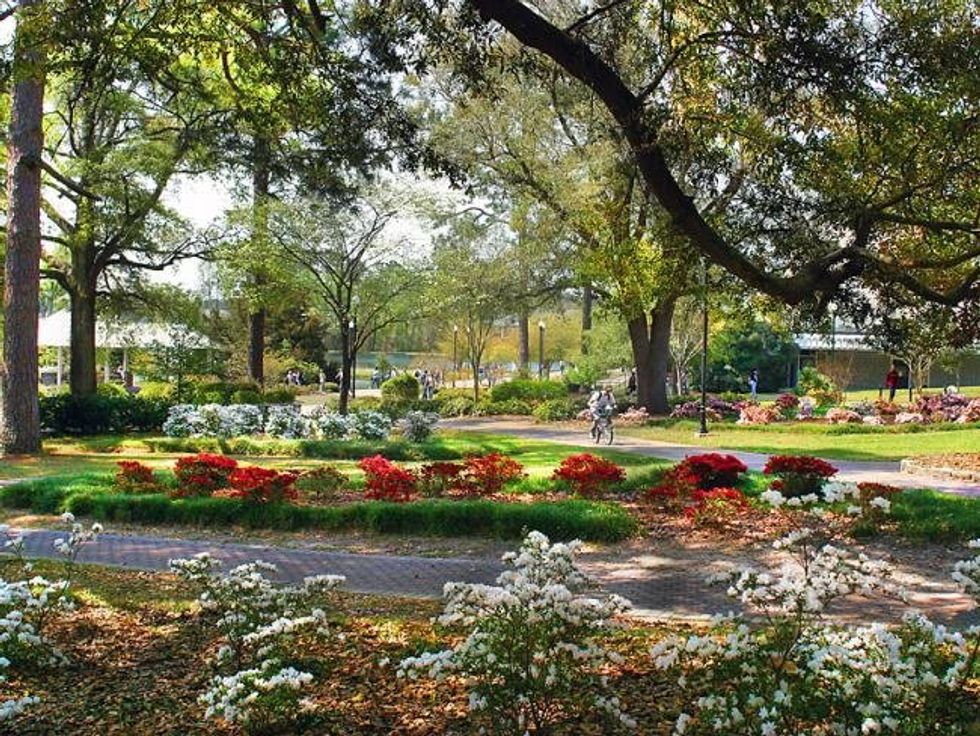 A Northerners Guide To The South