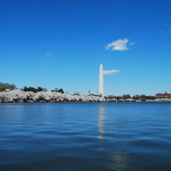 Spring Is Nature's Way Of Saying "Let's Party"