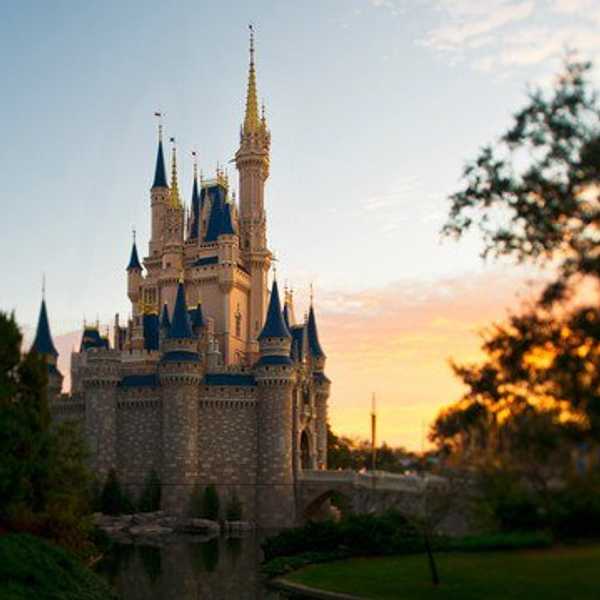 The Magical Internship Where Dreams Come True