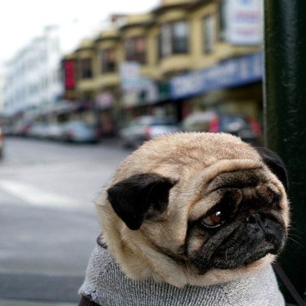 So You're Having A Bad Day...