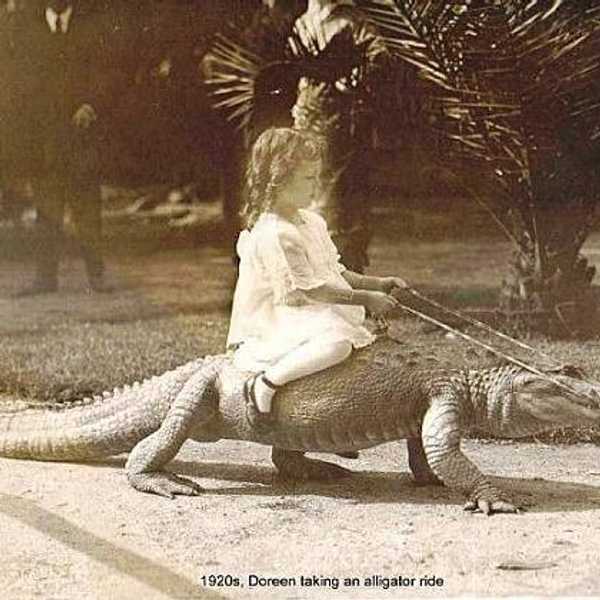10 Things Only Floridians Will Understand