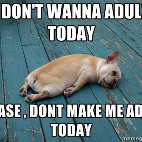 30 Things You Learn When Living Off-Campus