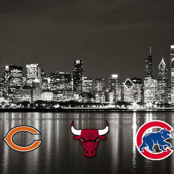 11 Signs You're A Chicago Sports Fan.