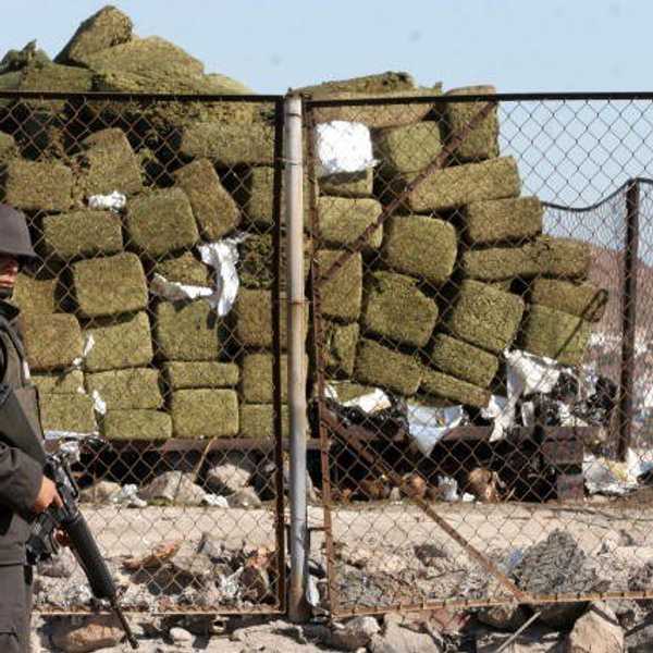 Legalize It All