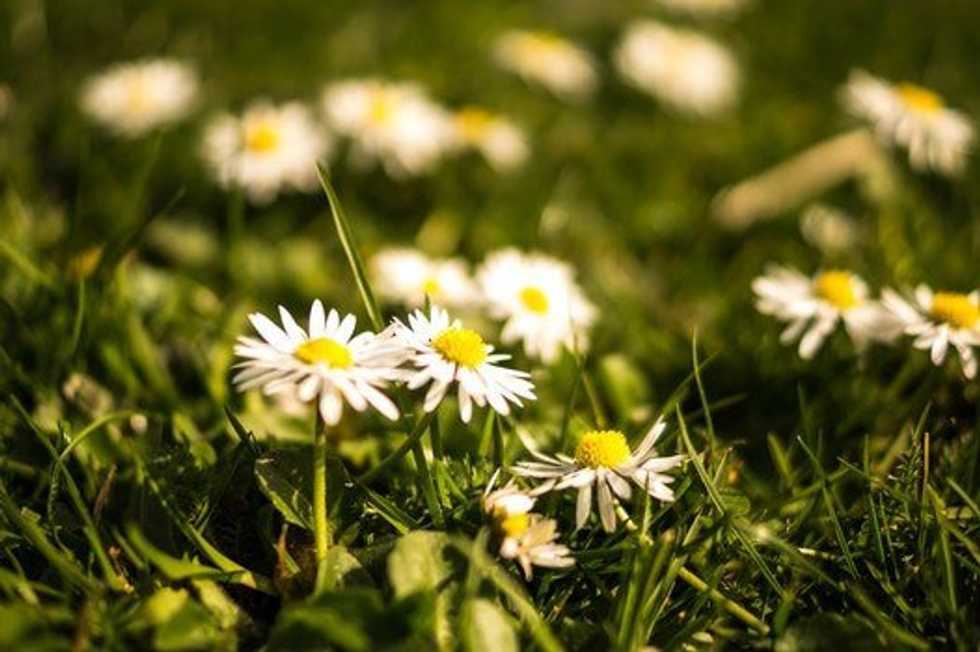 Spring is Coming!