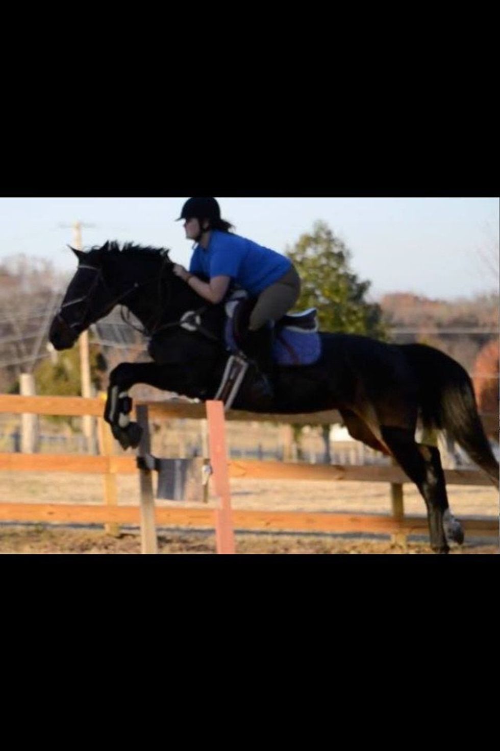A Thank You Letter To My First Horseback Riding Coach