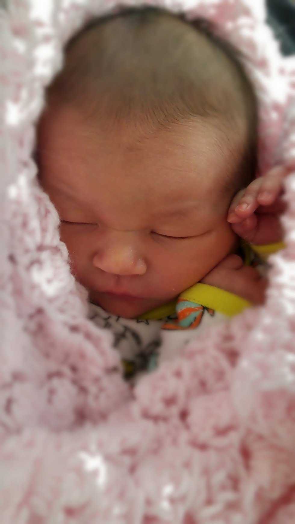 Breastmilk and Diapers: Confessions of a New Mom