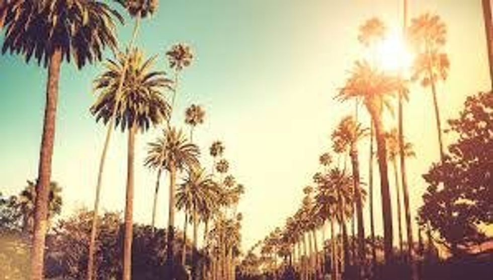 The Importance Of Sticking To Your Roots