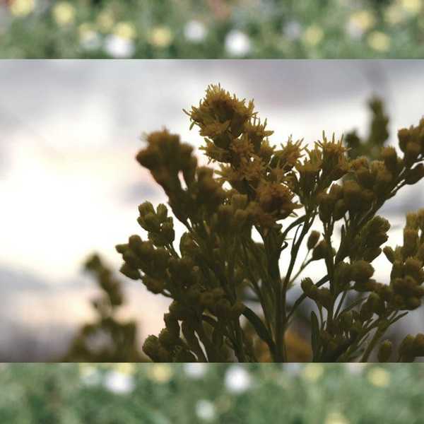 14 Lyrics That Change The Way We See The World