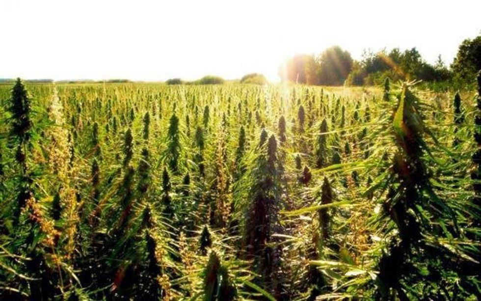 The Benefits Of Legalizing Marijuana