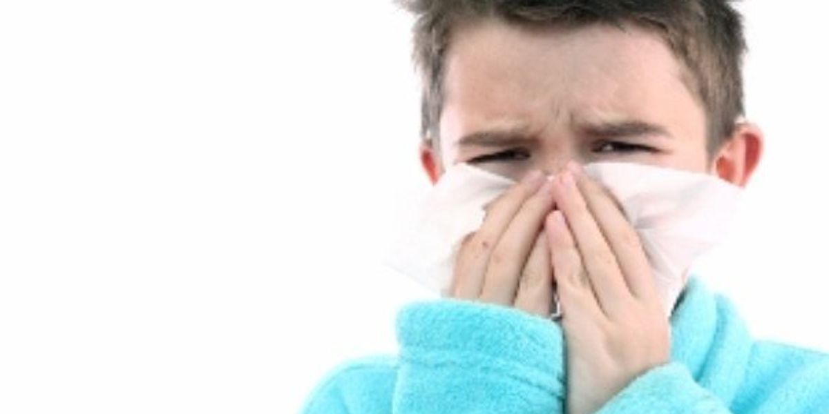 Cold Student 5 Easy Ways To Get Rid Of A Cold As A College Student | The Odyssey Online