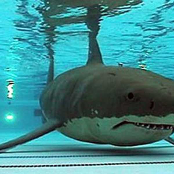 8 Phases of Facing My Irrational Fear