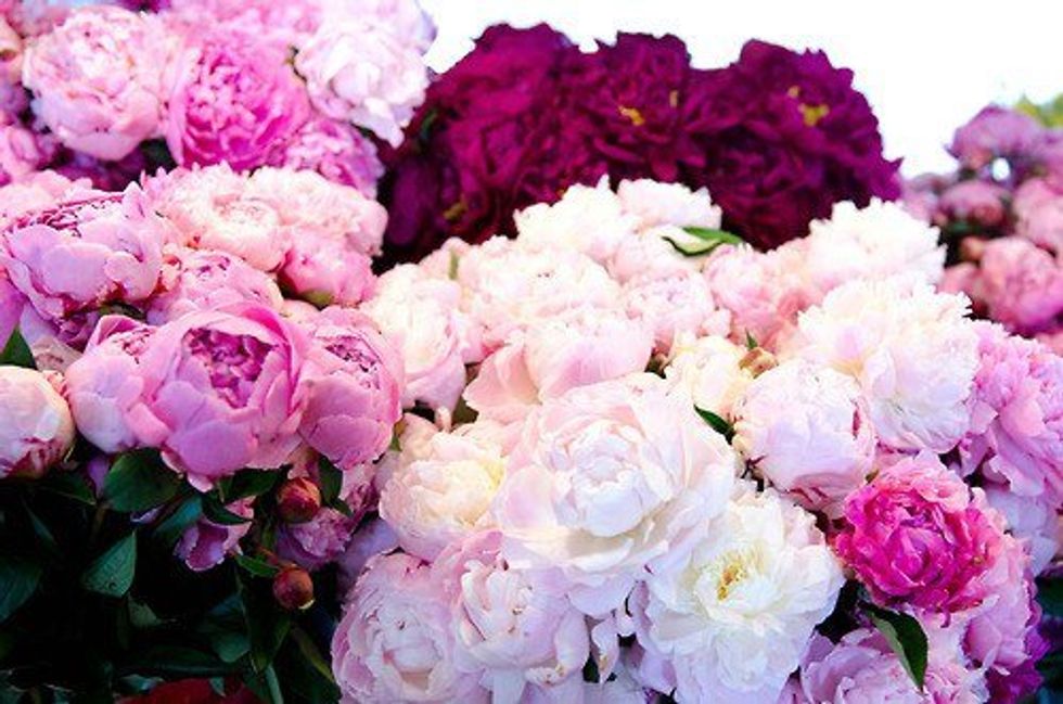 How To Love Without Limits