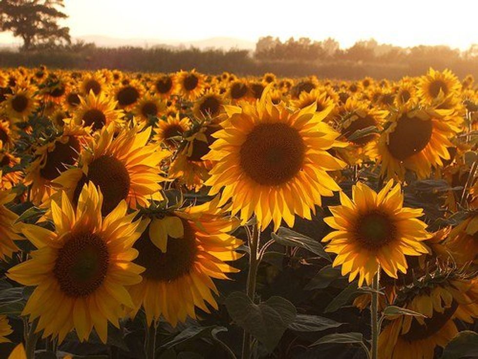 I Don't Need To Be "Completed"