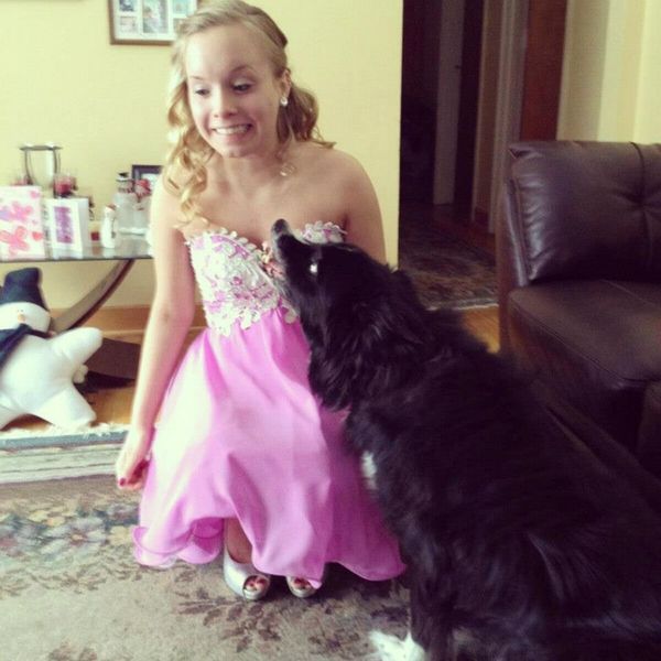 An Open Letter To My First Dog