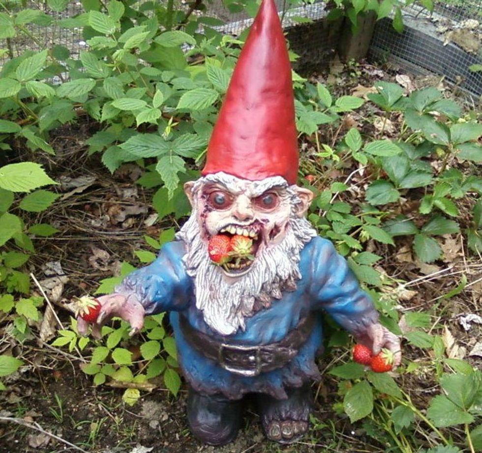 An Open Letter To The Invisible Gnome-Man Who Lives Under My Local Freeway