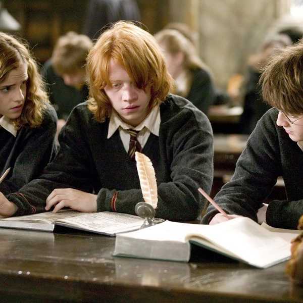 12 Signs You're A True Harry Potter Fan