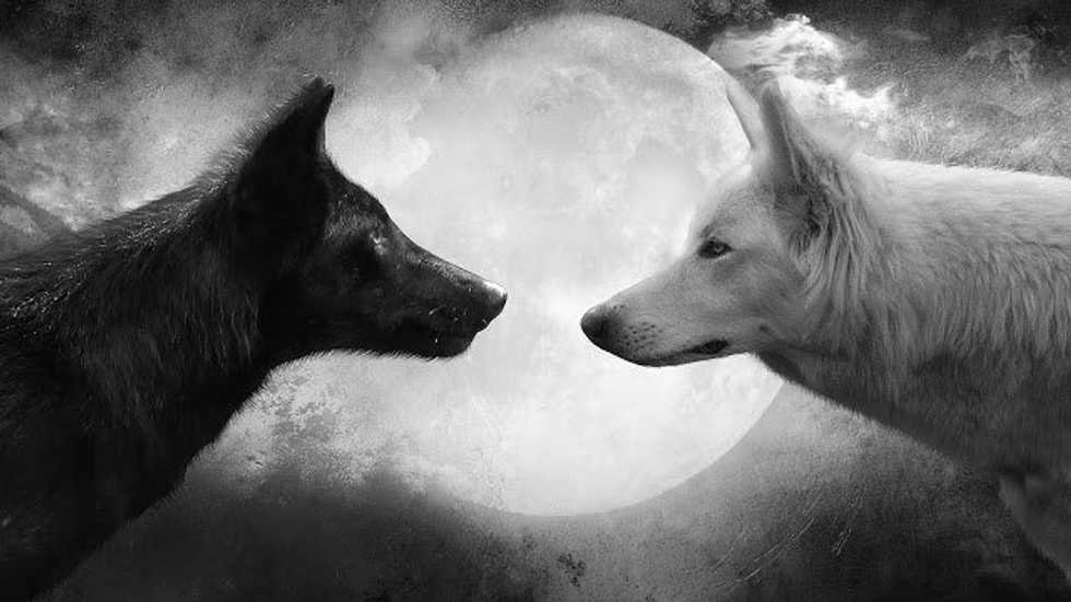 The One You Feed