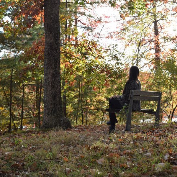 An Open Letter To The Cyberbully