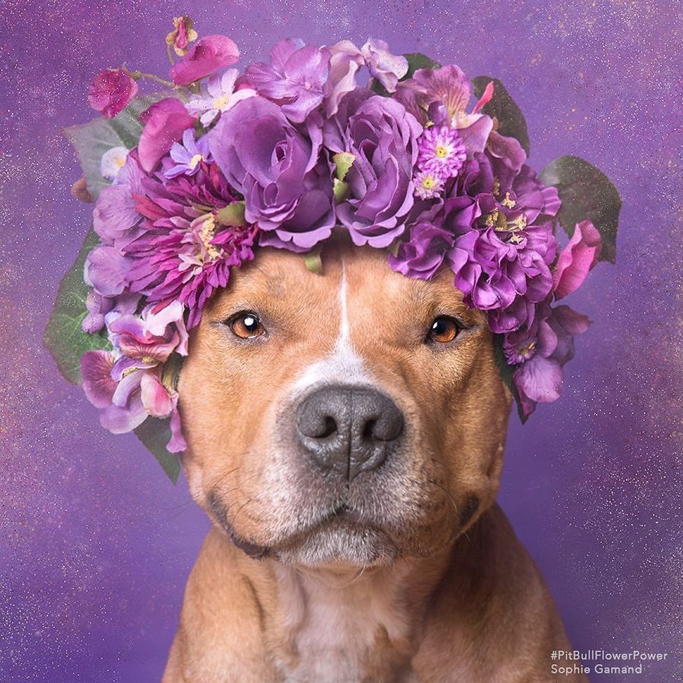 The Best Animals To Follow On Instagram