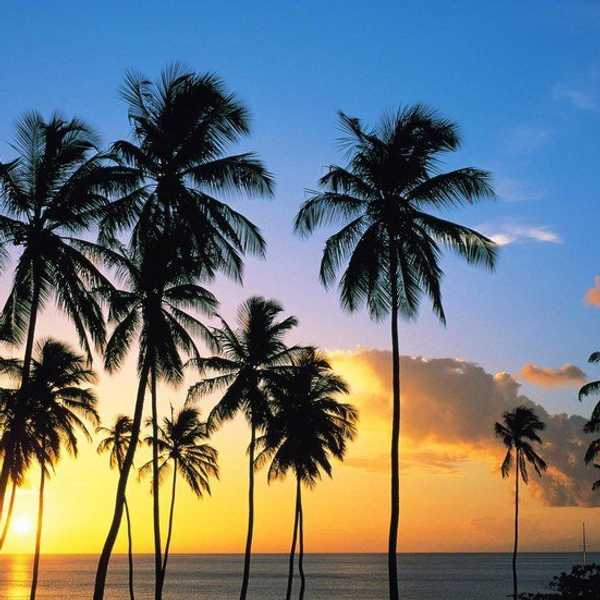20 Things To Do Over Spring Break If You're Not Traveling