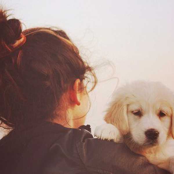 19 Signs You're Obsessed With Your Dog
