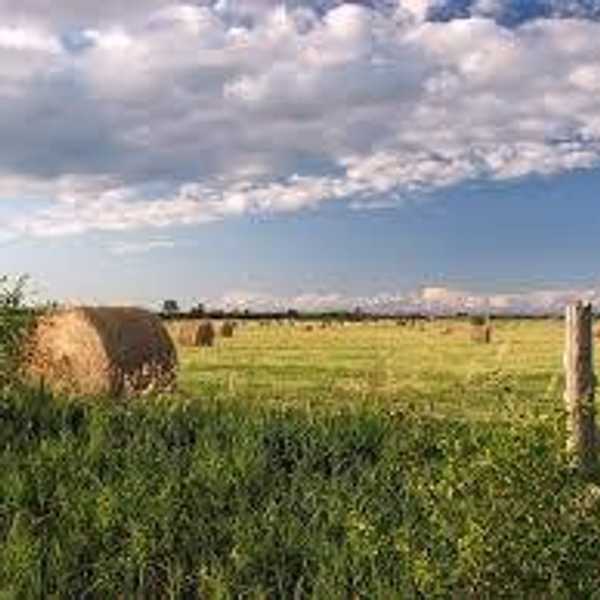 12 Reasons Why Growing Up In A Small Town Is Beneficial