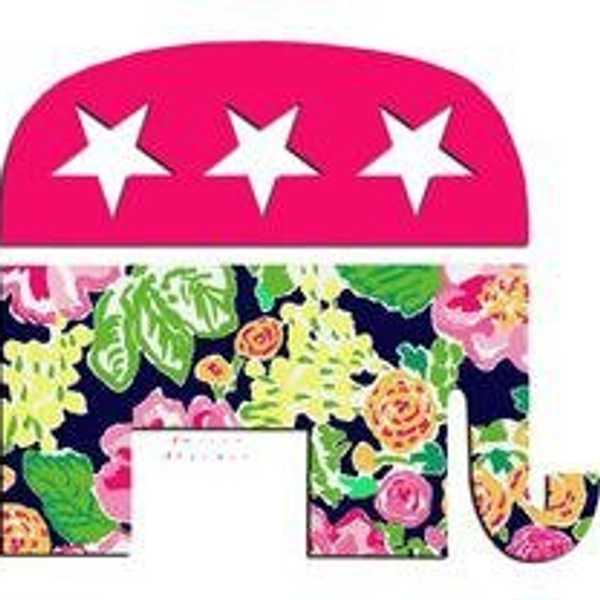 11 Gifs That Perfectly Describe Life As A Millennial Republican