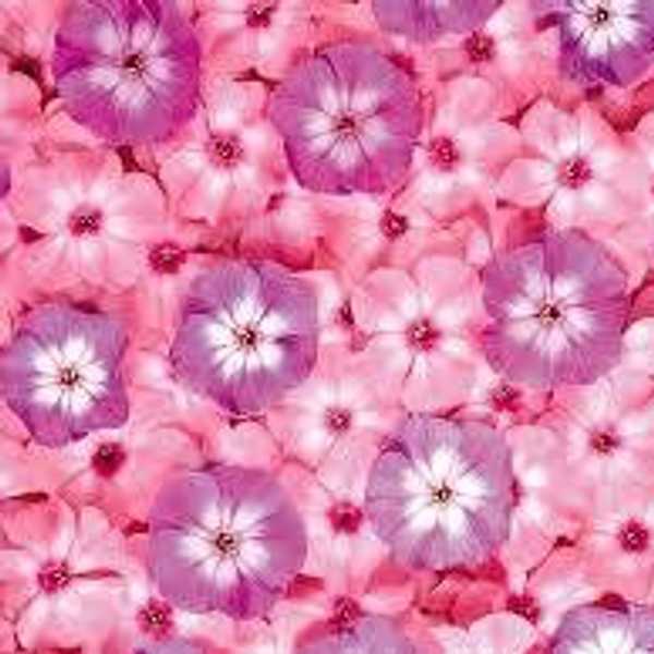 Why Being A Wallflower Is Not A Bad Thing