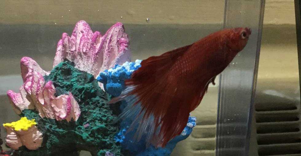 How to Get Through Your Freshman Year