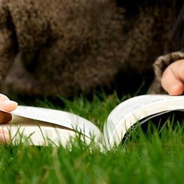 Put Down the Phone, Pick Up a Book