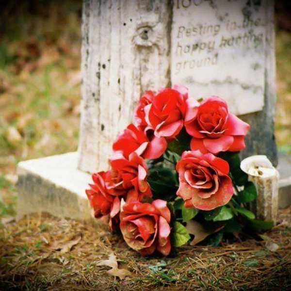 Flowers For The Living: Gratitude Over Regret