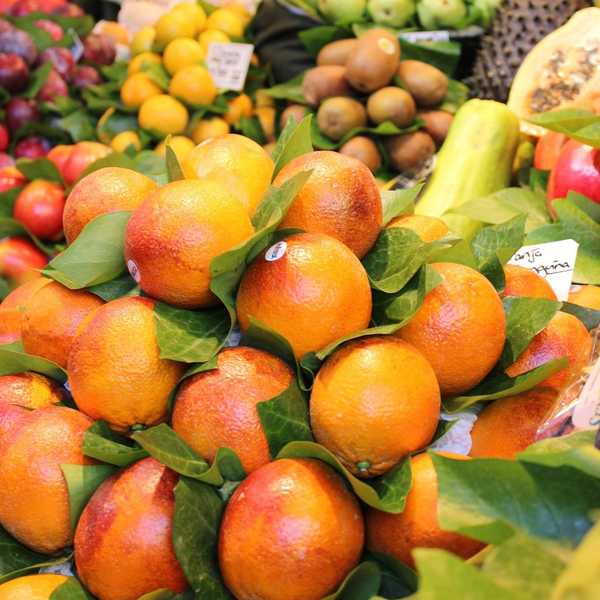 Growing Concern For Orthorexia Nervosa