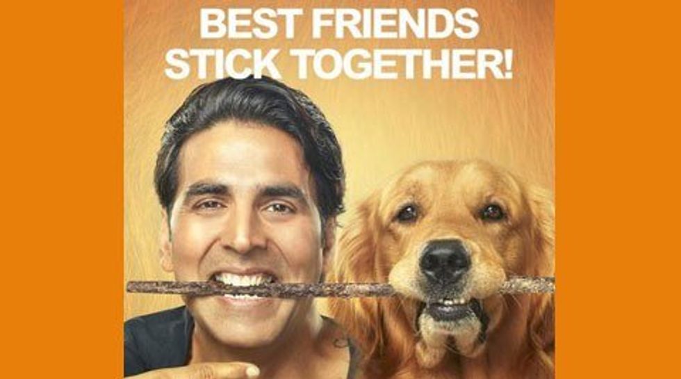 Things Only Pet Owners Understand