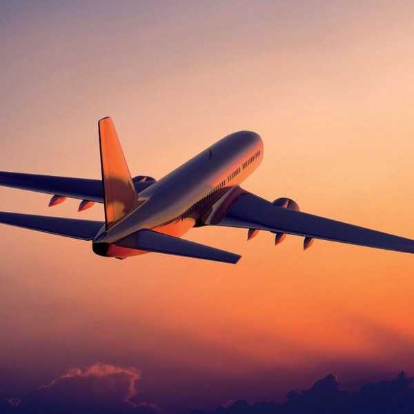 I Hate Air Travel More Than I Hate Scabies