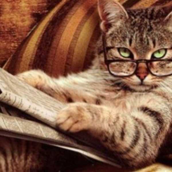 16 Books To Read In 2016