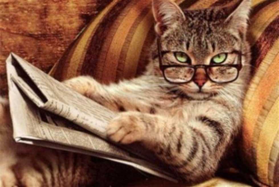 16 Books To Read In 2016