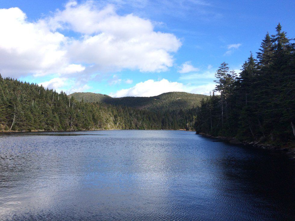 An Attempt To Overcome An Anxious Lifestyle