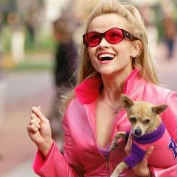 10 Things Every Sorority Girl Is Tired Of Hearing
