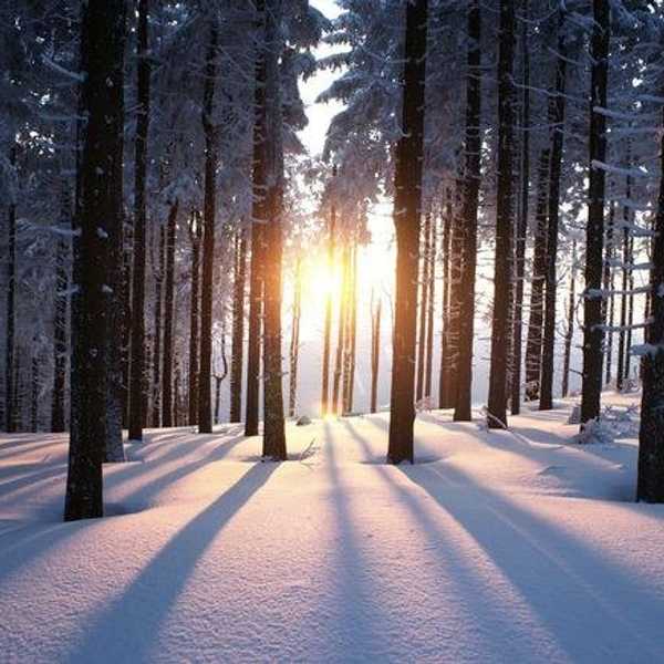 10 Reasons Why Winter Would Be Great All Year Long